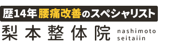 新潟市の腰痛専門なら「梨本整体院」 ロゴ